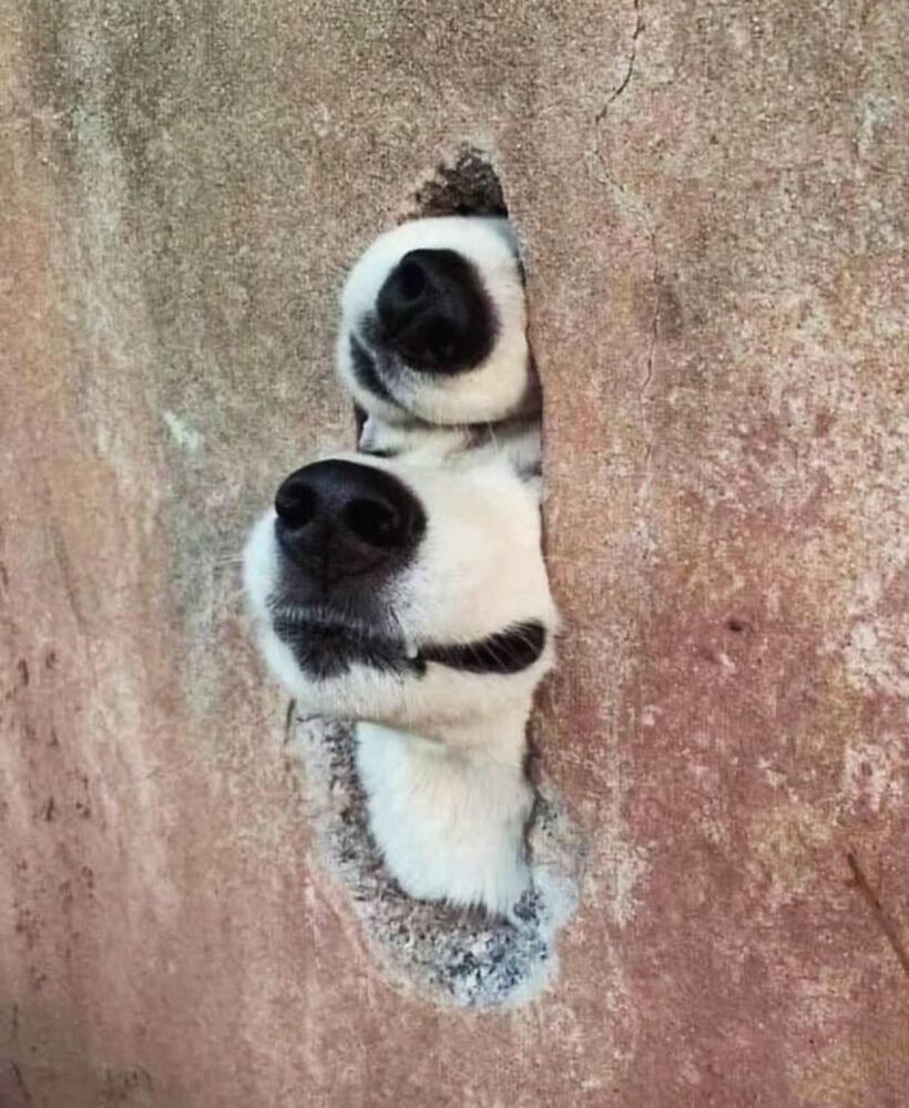 Por qué la constancia vence al talento en tu negocio