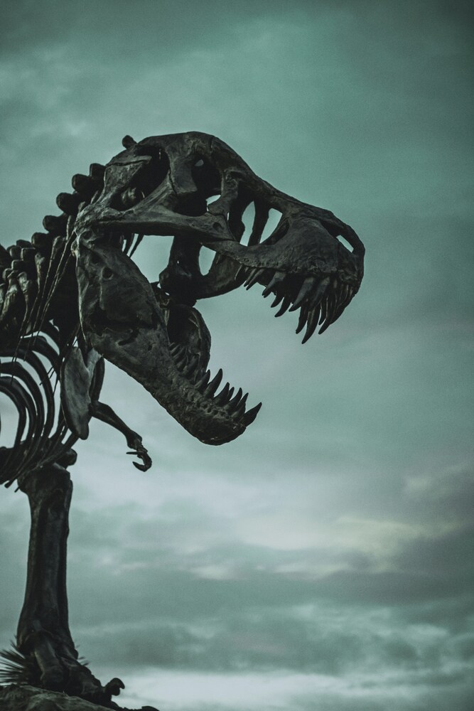 Dino digital: ¿Quién dijo que los dinosaurios no crecían en la web?